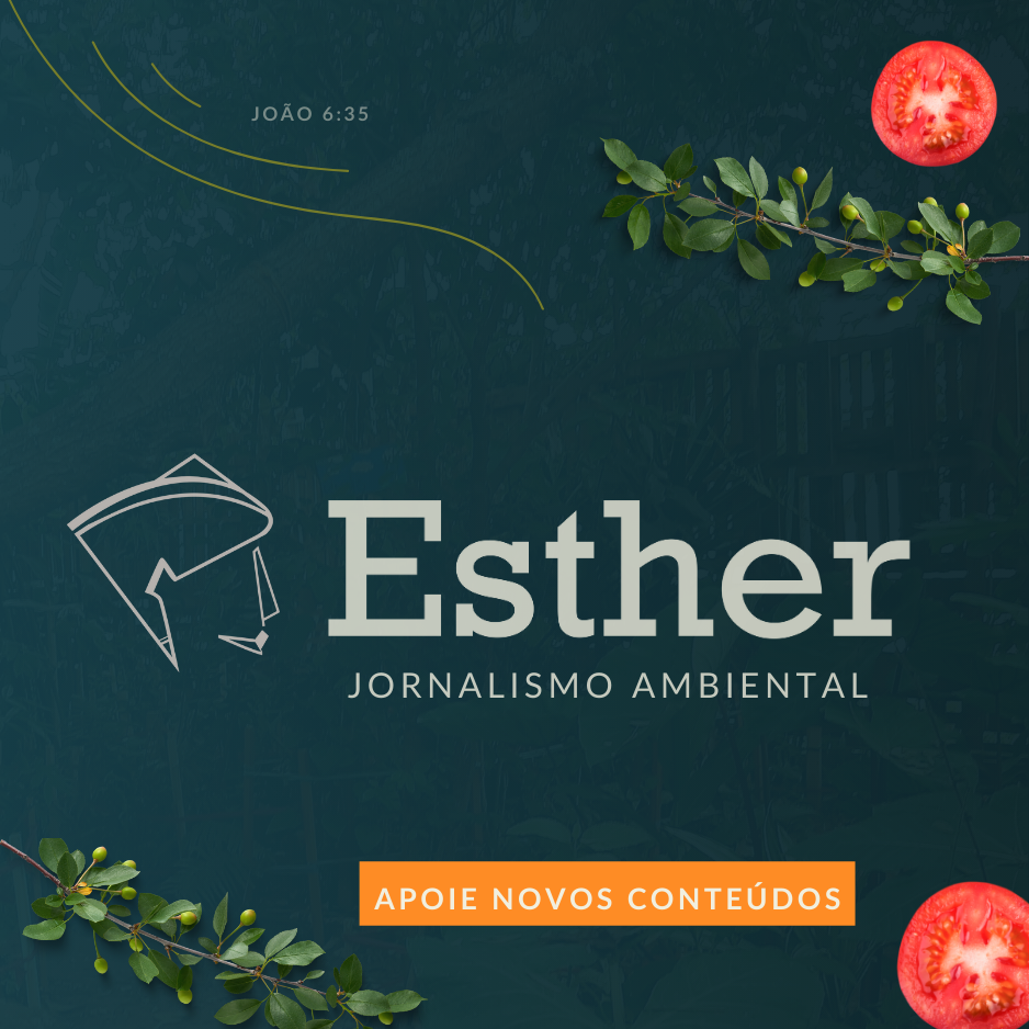 /apidata/imgcache/20a1984ee72e29ed46a44e42ade4e864.png?banner=col4&when=1770017454&who=220