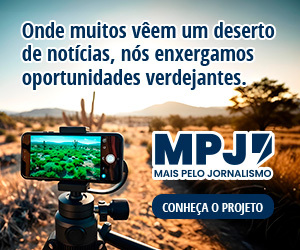 /apidata/imgcache/676934f3b347bb11ac29e12aa7bbf424.jpeg?banner=col4&when=1770017454&who=220