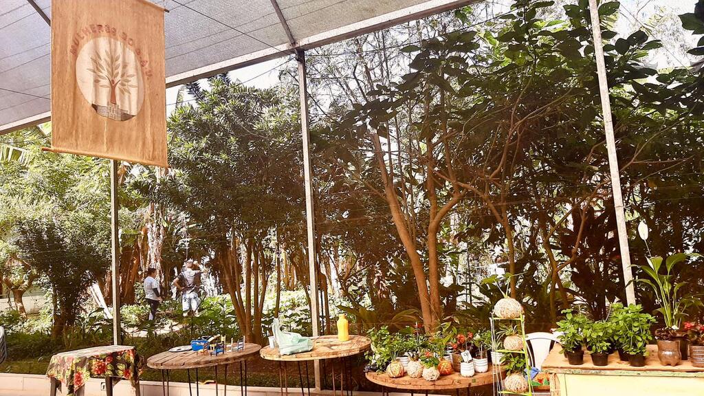 Do sítio à periferia de São Paulo: o combate aos desertos alimentares em São Miguel Paulista