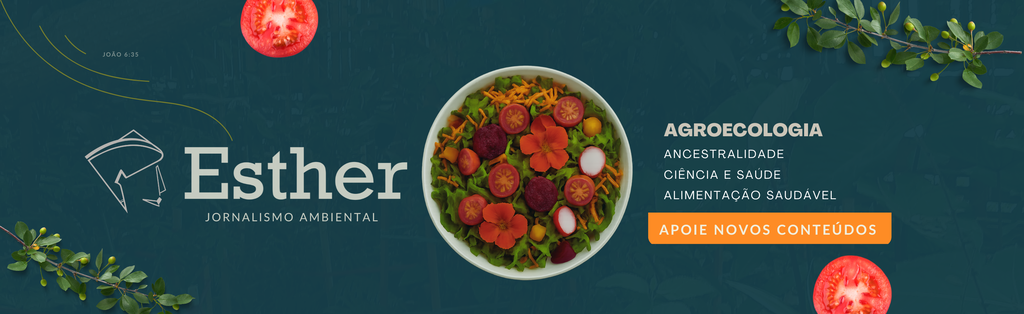 /apidata/imgcache/b4579e57e49be585de9255b628ffefd4.png?banner=top&when=1770024141&who=220